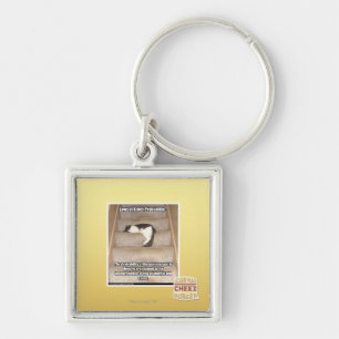 Chaveiro Leis da probabilidade de Kitteh