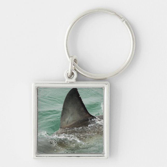 Chaveiro Leme dorsal de um grande tubarão branco (Frente)