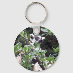 Chaveiro Lemur