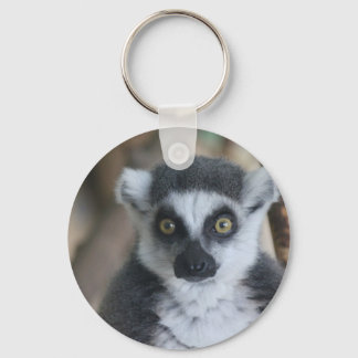 Chaveiro Lemur
