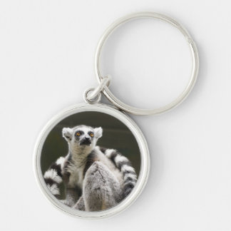 Chaveiro Lemur Anel-atado