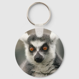 Chaveiro lemur da cauda do anel