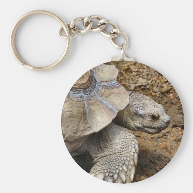 Chaveiro Lento (Frente)