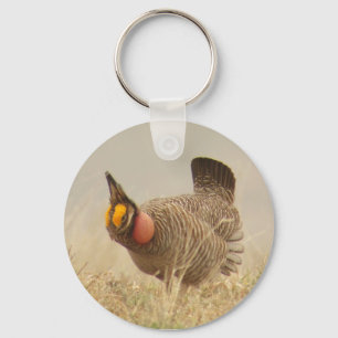 Chaveiro Lesser Prairie Chicken Keychain