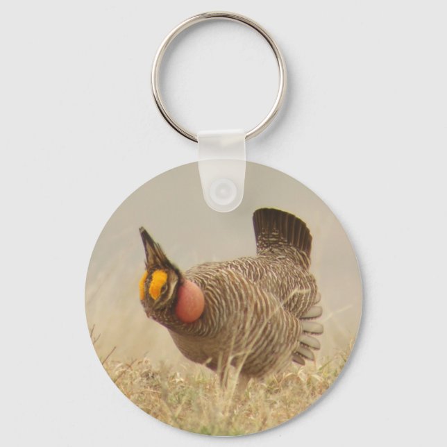 Chaveiro Lesser Prairie Chicken Keychain (Frente)