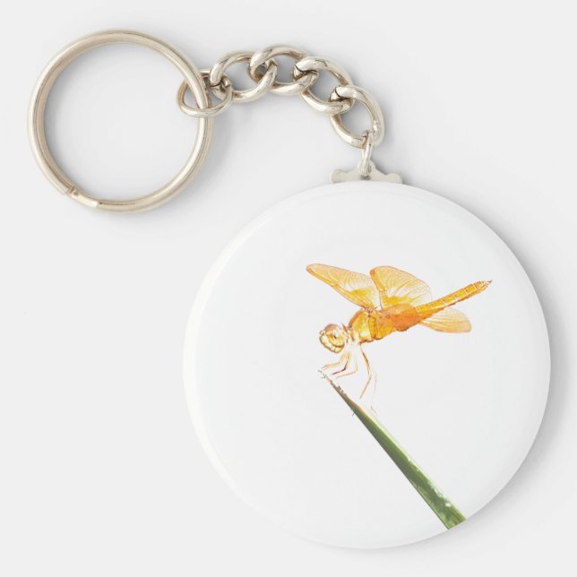 Chaveiro libélula de asas âmbar mexicana (Frente)