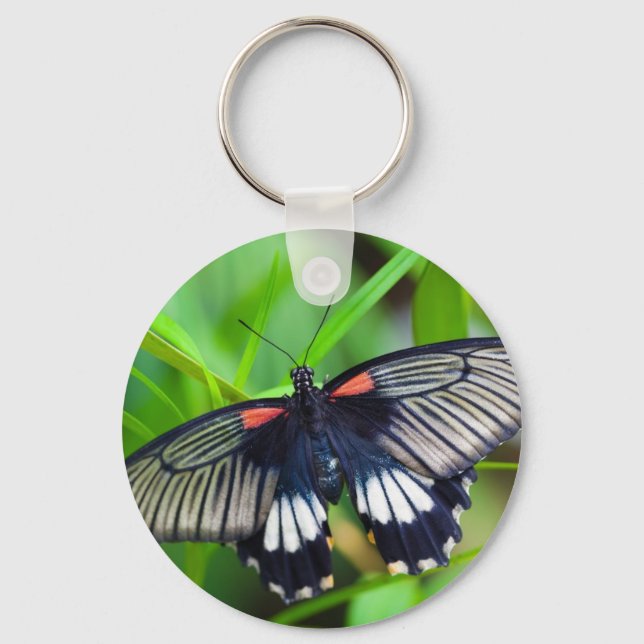 Chaveiro Linda borboleta negra, branca e vermelha (Frente)