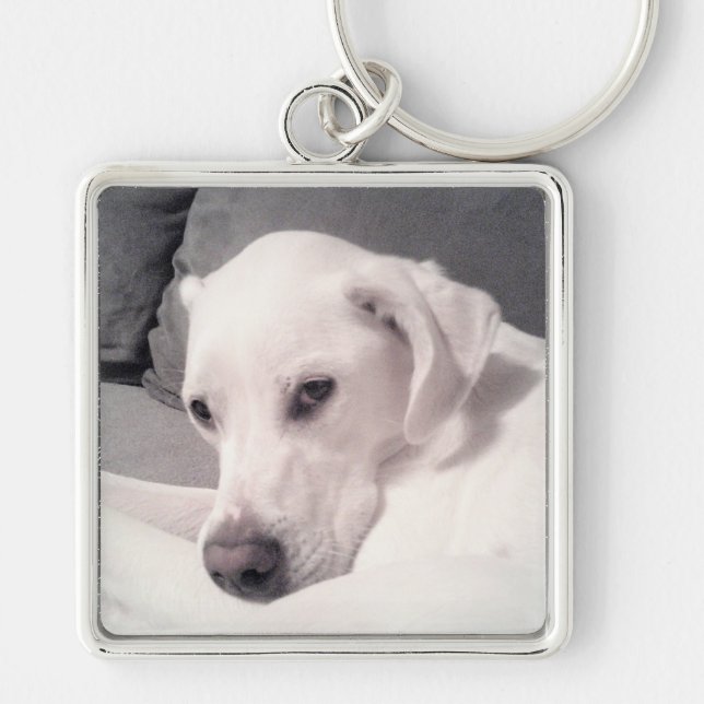 Chaveiro Linda Cinza de Cachorro Branco Labrador Mix Keycha (Frente)
