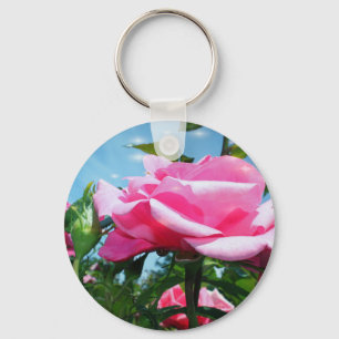 Chaveiro Linda rosa rosa rosa no céu azul. Fotografia flora