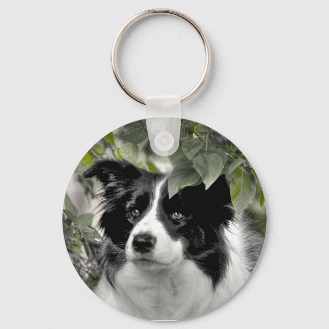 Chaveiro Lindo Collie Dog (Frente)