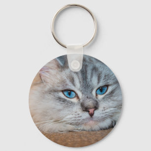 Chaveiro Lindos olhos azuis de gato