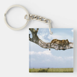 Chaveiro Lion Office Home Personalize Destino