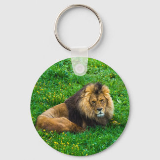 Chaveiro Lion Relaxing em Foto de Grass Verde