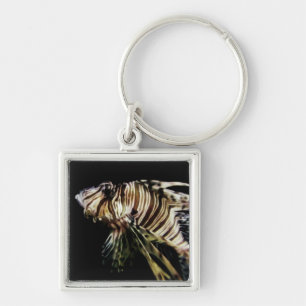 Chaveiro Lionfish