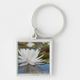 Chaveiro Lírio de Água Fragrante (Nymphaea Odorata) no Cadd