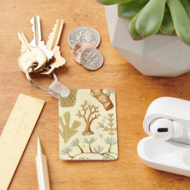 Chaveiro Livro Didático de Ciências Biologia, Animais de Co (Mesa)