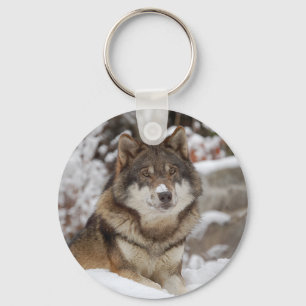 Chaveiro Lobo do inverno