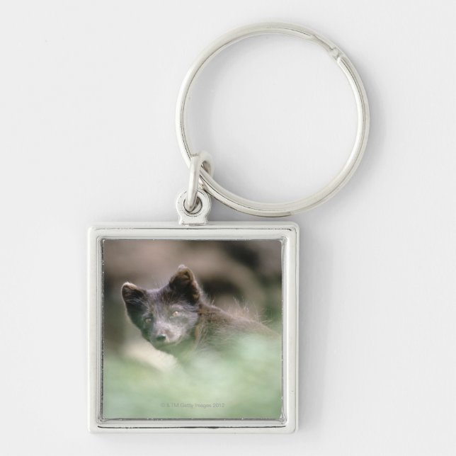 Chaveiro Lobo preto pequeno (Frente)