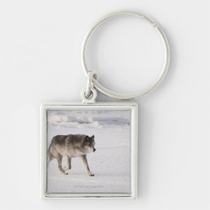 Chaveiro Lobo que funciona na neve
