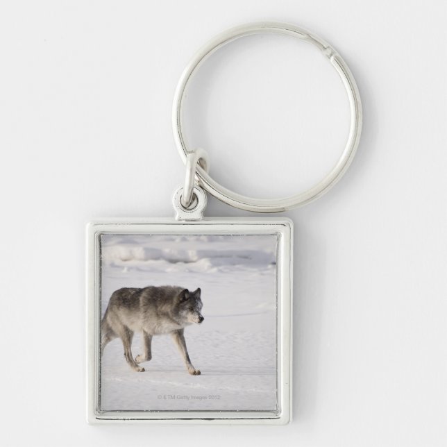 Chaveiro Lobo que funciona na neve (Frente)