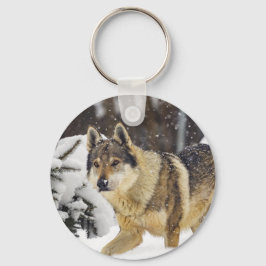 Chaveiro Lobo Selvagem de Cinzas Bonitas na neve