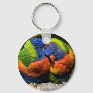 Chaveiro Lorikeets in Love