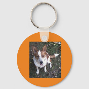 Chaveiro Lucy the Dog