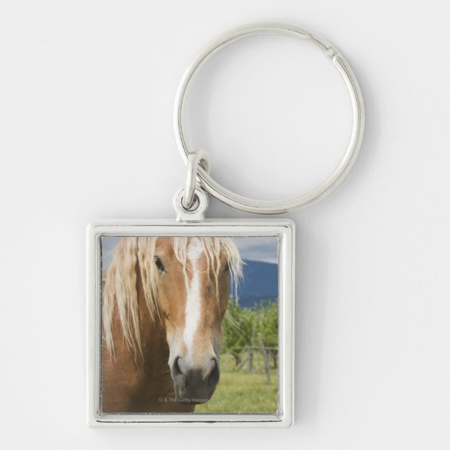 Chaveiro Luz - cavalo marrom (Frente)