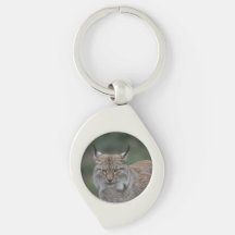 Lynx Olhando Para Você Clássico