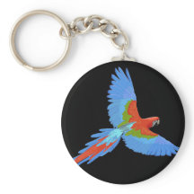 Maca azul e vermelha voadora