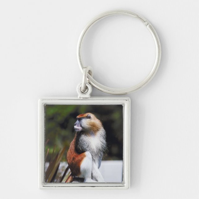 Chaveiro Macaco de Patas (Frente)