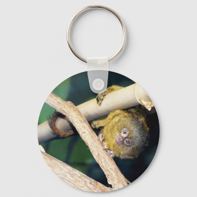 Chaveiro Macaco Marmoset Olá, Keyboard (Frente)