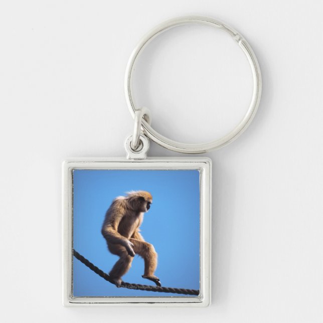 Chaveiro macaco que anda na corda (Frente)