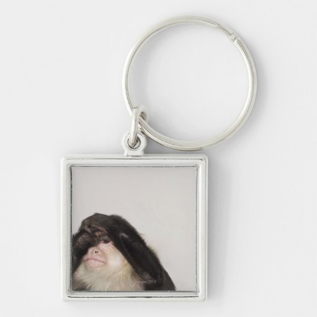 Chaveiro Macaco que cobre seus olhos (Frente)