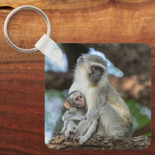Chaveiro Macaco Vervet, Natureza Gentil