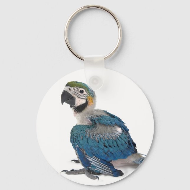 Chaveiro Macaw azul e amarelo (Frente)