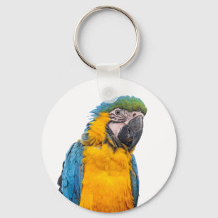 Chaveiro Macaw azul e Dourado