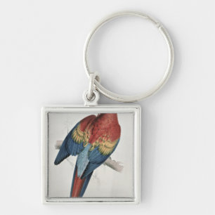 Chaveiro Macaw vermelho e amarelo