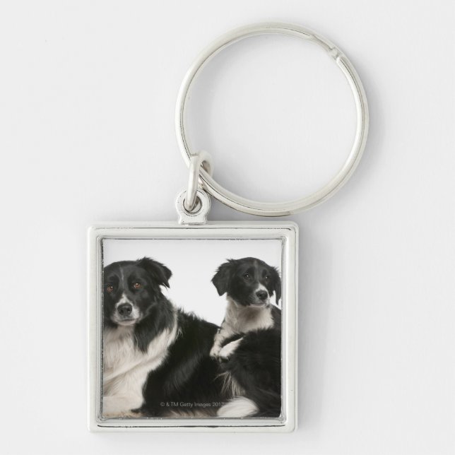 Chaveiro Mãe border collie e filhote de cachorro (Frente)