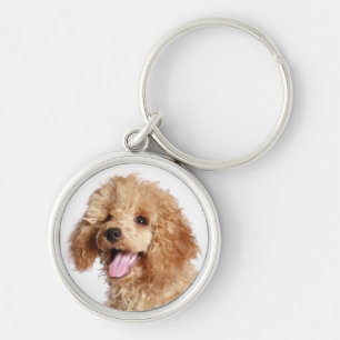 Chaveiro Mãe de Cachorro Poodle Dourado Filhote de Cachorro