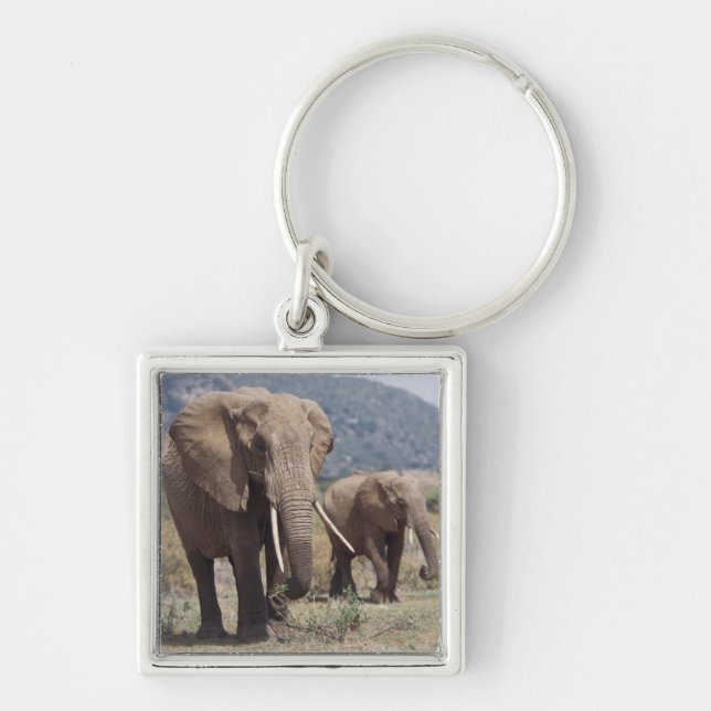 Chaveiro Mãe elefante andando com filhote de elefante (Frente)
