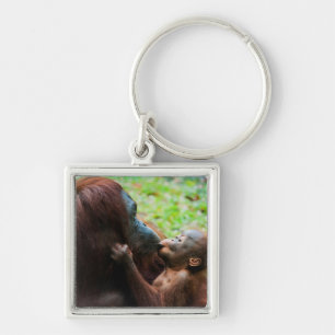 Chaveiro Mãe Orangutã com bebê
