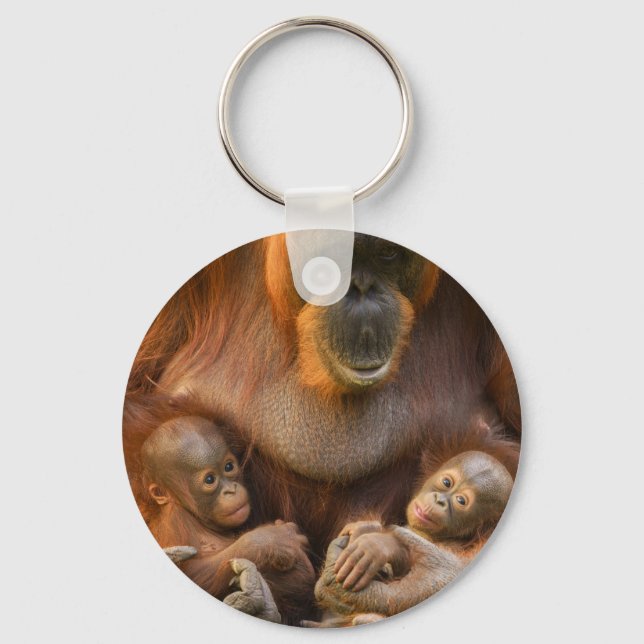 Chaveiro Mãe Orangutan Segurando Dois Bebês (Frente)