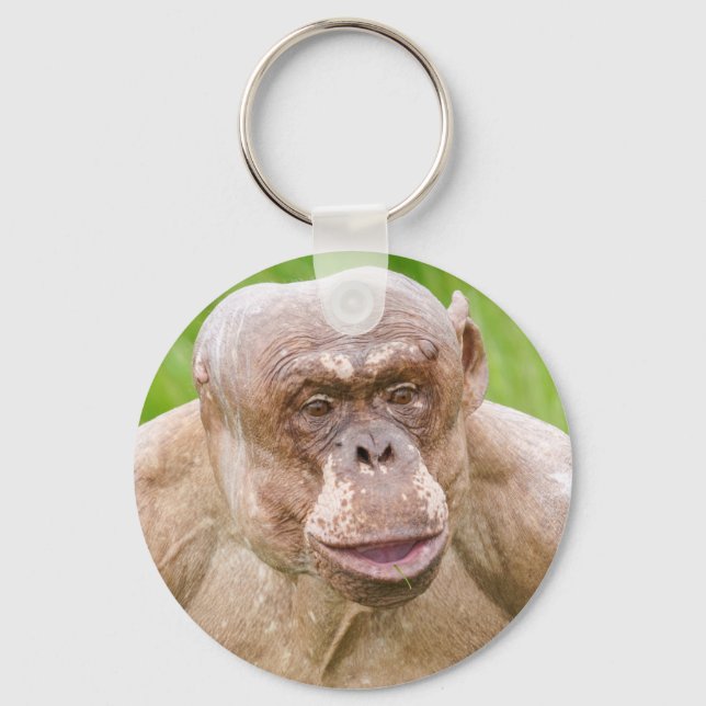 Chaveiro Magnet Chimpanzé Sem Cabelos (Frente)