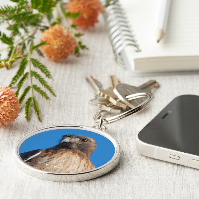 Chaveiro Magnífico Falcão de Altura Vermelha no Sol (Lateral)