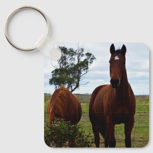 Chaveiro Magnífico Grande Cavalo Marrom, (Frente)