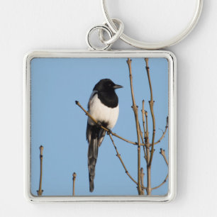 Chaveiro Magpie