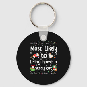 Chaveiro Mais Provável Para Levar Para Casa Um Gato De Rua