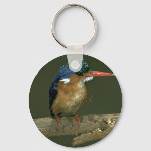 Chaveiro Malachite Kingfisher