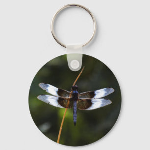 Chaveiro Male Widow Skimmer Dragonfly